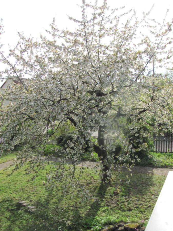 Hochwertiges Ferienhaus im romantischen Franken Colmberg Exterior foto